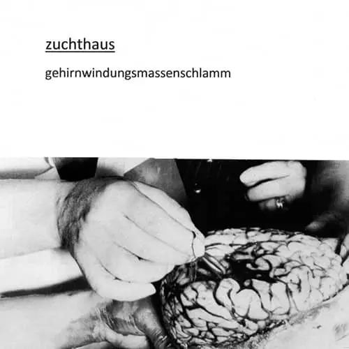 Zuchthaus / Reflector Split 7"