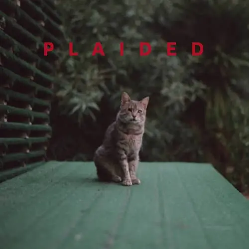 Plaided – Playdate