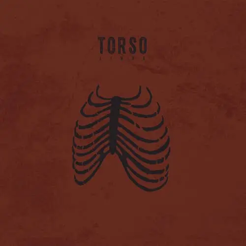 Torso – Limbs